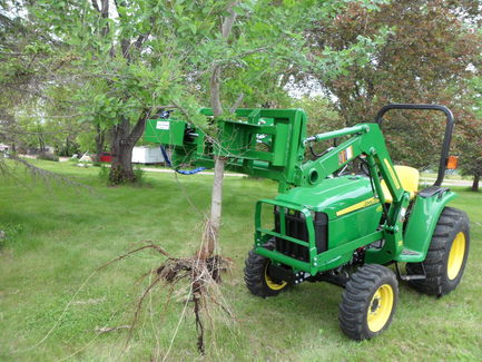 Tree Puller Attachment For Skid Steer